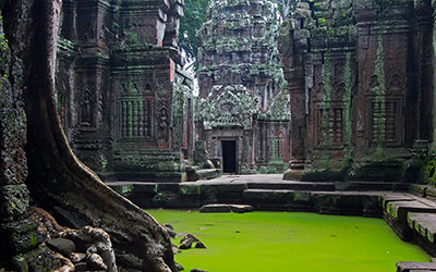 The Ta Prohm temple within Cambodia's Angkor Archaeological Park. 