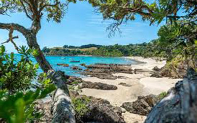 A white and golden sand beach on Waiheke Island, New Zealand.