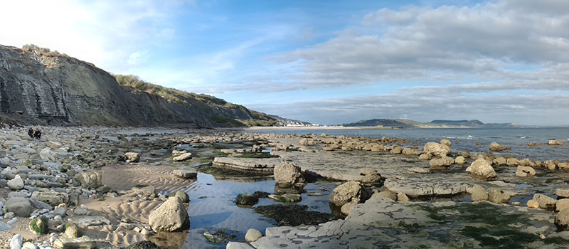 Lyme Regis Fossil Beach