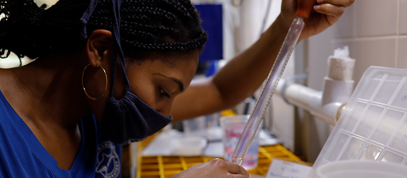 Amanda Hodo ’14 squeezes a tube in the conservation lab at Mote Marine Laboratory & Aquarium.