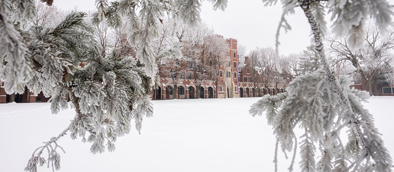 Gates Tower on the campus of Grinnell College with Mac Field in front covered in snow. Image features wintergreen tree branches with frozen needles in the foreground.