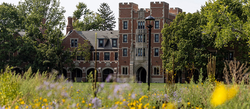 Wildflowers and other prairie plantings on Mac Field with Gates Tower in the background. 