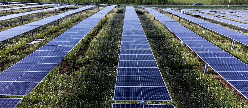 Grinnell College’s 4-megawatt solar array