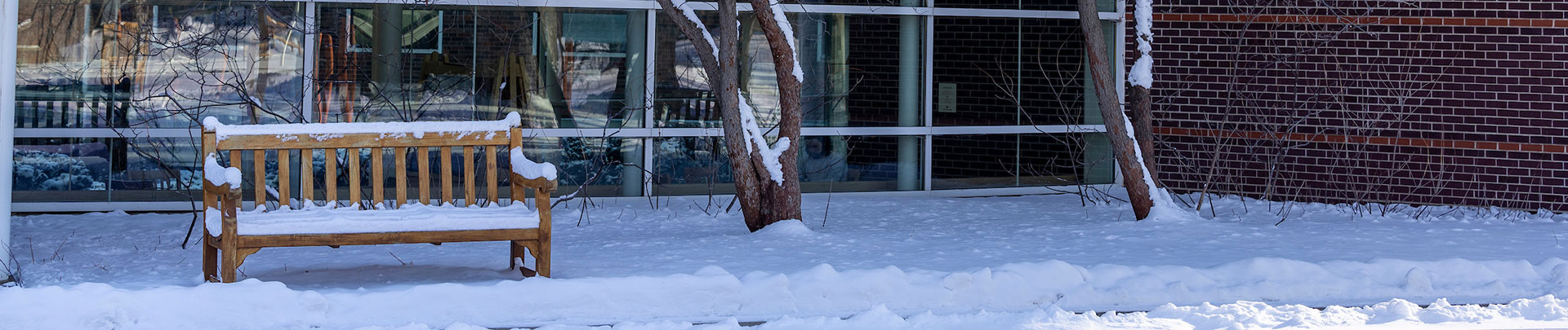 A bench on the campus of Grinnell Campus covered in snow. The tree also covers the ground and trees around the bench.