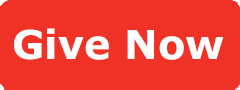 Button: Give Now