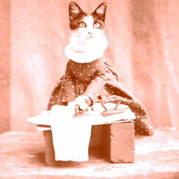A cat dressed up in a dress and posed as ironing clothing.